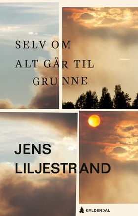 Selv om alt går til grunne (ebok) av Jens Liljestrand