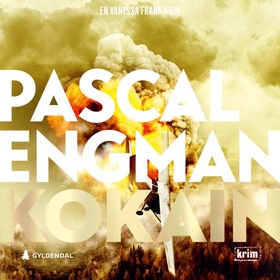 Kokain (lydbok) av Pascal Engman