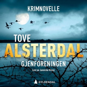 Gjenforeningen (lydbok) av Tove Alsterdal