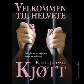Kjøtt (lydbok) av Kjetil Johnsen