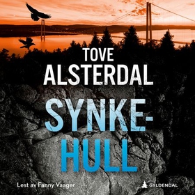Synkehull (lydbok) av Tove Alsterdal