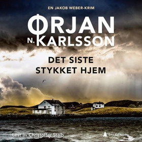 Det siste stykket hjem - kriminalroman (lydbok) av Ørjan N. Karlsson