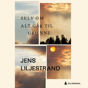 Selv om alt går til grunne (lydbok) av Jens Liljestrand