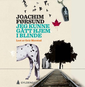 Jeg kunne gått hjem i blinde (lydbok) av Joachim Førsund