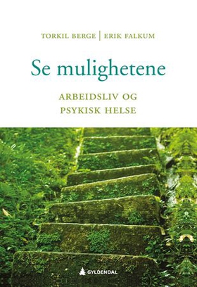 Se mulighetene - arbeidsliv og psykisk helse (ebok) av Torkil Berge