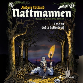 Nattmannen (lydbok) av Anders Totland