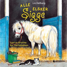 Alle elsker Sigge (lydbok) av Lin Hallberg