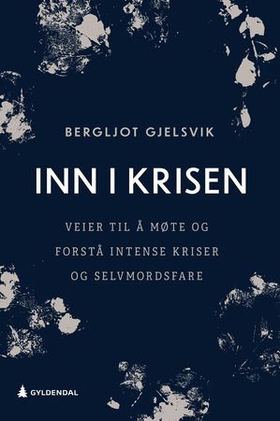 Inn i krisen - veier til å møte og forstå intense kriser og selvmordsfare (ebok) av Bergljot Gjelsvik