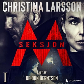 Seksjon M - Del 1 (lydbok) av Christina Larsson