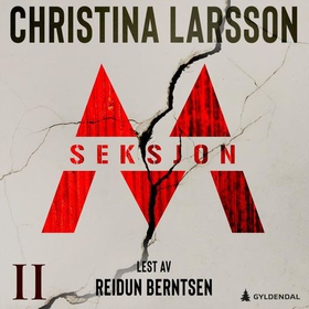 Seksjon M - Del 2 (lydbok) av Christina Larsson