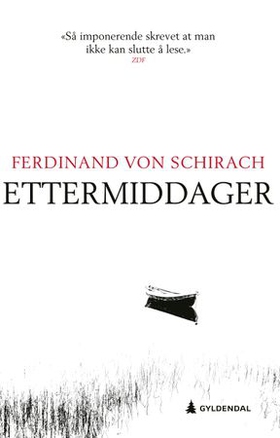 Ettermiddager (ebok) av Ferdinand von Schirach