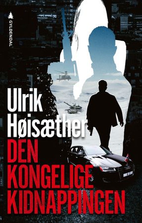 Den kongelige kidnappingen - thriller (ebok) av Ulrik Høisæther