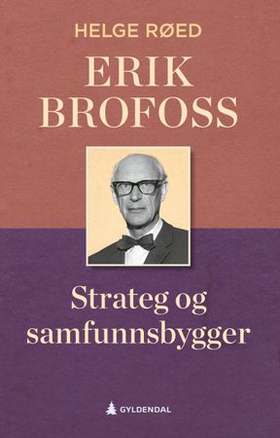 Erik Brofoss - strateg og samfunnsbygger (ebok) av Helge Røed