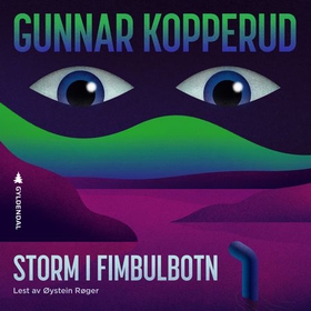 Storm i Fimbulbotn