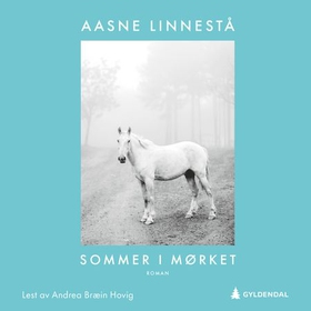 Sommer i mørket - roman (lydbok) av Aasne Linnestå