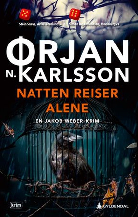 Natten reiser alene - kriminalroman (ebok) av Ørjan N. Karlsson