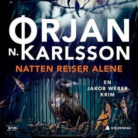 Natten reiser alene (lydbok) av Ørjan N. Karlsson