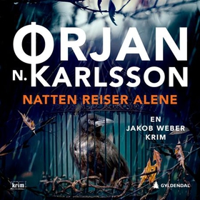 Natten reiser alene