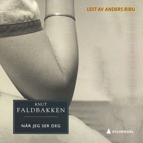 Når jeg ser deg - roman (lydbok) av Knut Faldbakken