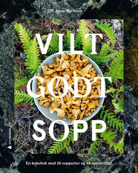 Vilt godt sopp - en kokebok med 20 sopparter og 48 oppskrifter (ebok) av Anne Mæhlum