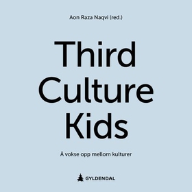 Third culture kids - å vokse opp mellom kulturer (lydbok) av -