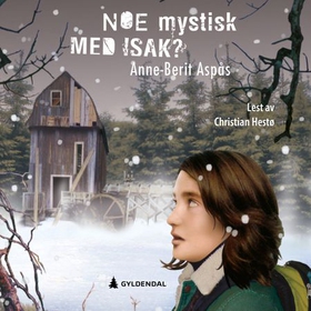 Noe mystisk med Isak (lydbok) av Anne-Berit Aspås