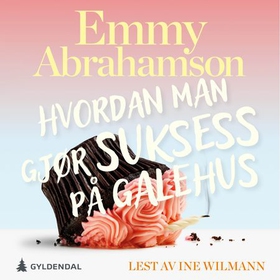 Hvordan man gjør suksess på et galehus - roman (lydbok) av Emmy Abrahamson