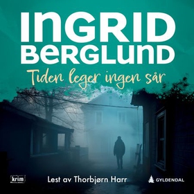 Tiden leger ingen sår (lydbok) av Ingrid Berglund