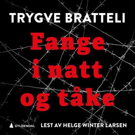 Fange i natt og tåke