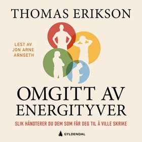 Omgitt av energityver (lydbok) av Thomas Erikson