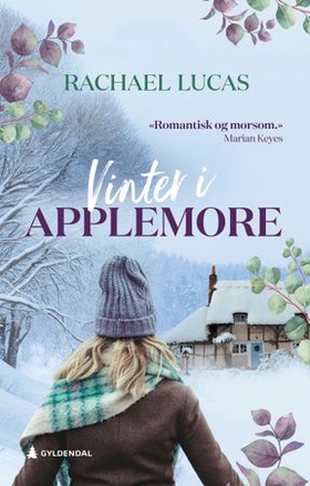 Vinter i Applemore (ebok) av Rachael Lucas