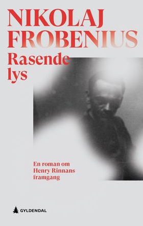 Rasende lys - en roman om Henry Rinnans framgang (ebok) av Nikolaj Frobenius