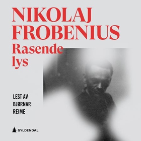 Rasende lys - en roman om Henry Rinnans framgang (lydbok) av Nikolaj Frobenius