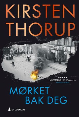 Mørket bak deg - roman (ebok) av Kirsten Thorup