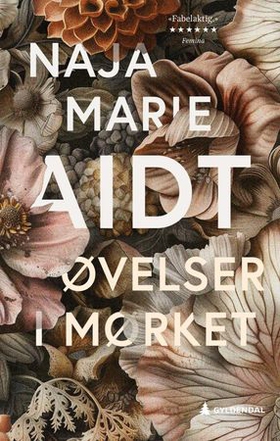 Øvelser i mørket - roman (ebok) av Naja Marie Aidt