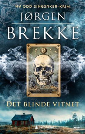 Det blinde vitnet (ebok) av Jørgen Brekke