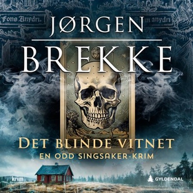 Det blinde vitnet (lydbok) av Jørgen Brekke