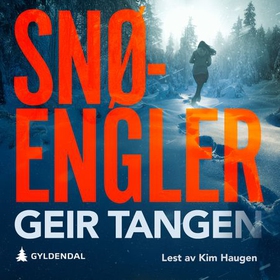 Snøengler