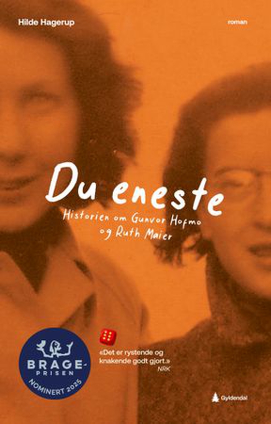 Du eneste - historien om Gunvor Hofmo og Ruth Maier : roman for ungdom (ebok) av Hilde Hagerup