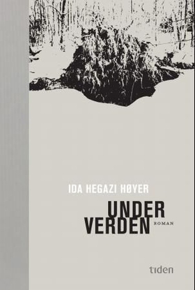 Under verden - roman (ebok) av Ida Hegazi Høyer