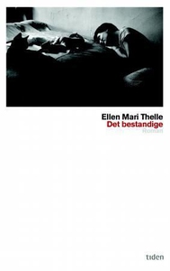 Det bestandige (ebok) av Ellen Mari Thelle