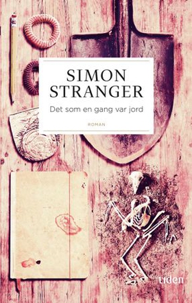 Det som en gang var jord - roman (ebok) av Simon Stranger
