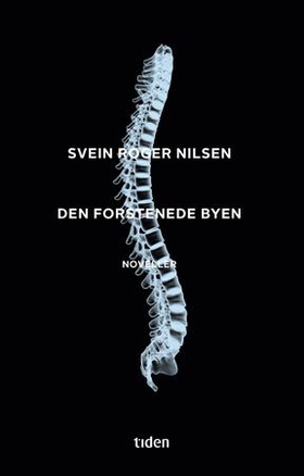 Den forstenede byen - noveller (ebok) av Svein Roger Nilsen