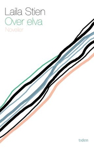 Over elva (ebok) av Laila Stien