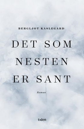 Det som nesten er sant - roman (ebok) av Bergljot Kaslegard