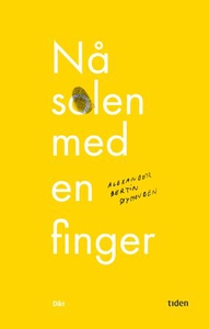 Nå solen med en finger (ebok) av Alexander Be