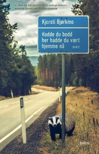 Hadde du bodd her hadde du vært hjemme nå (eb
