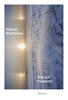 Snø på museum - dikt (ebok) av Hanne Bramness