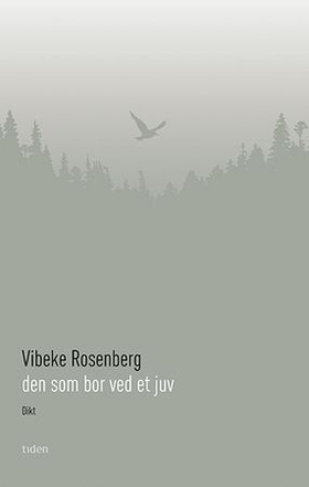Den som bor ved et juv - dikt (ebok) av Vibeke Rosenberg