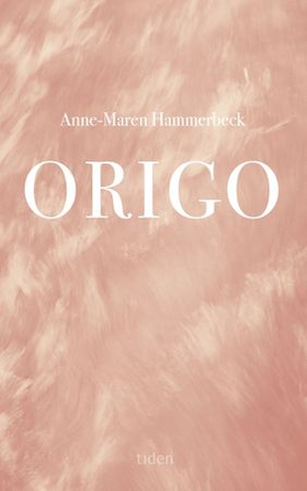 Origo (ebok) av Anne-Maren Hammerbeck